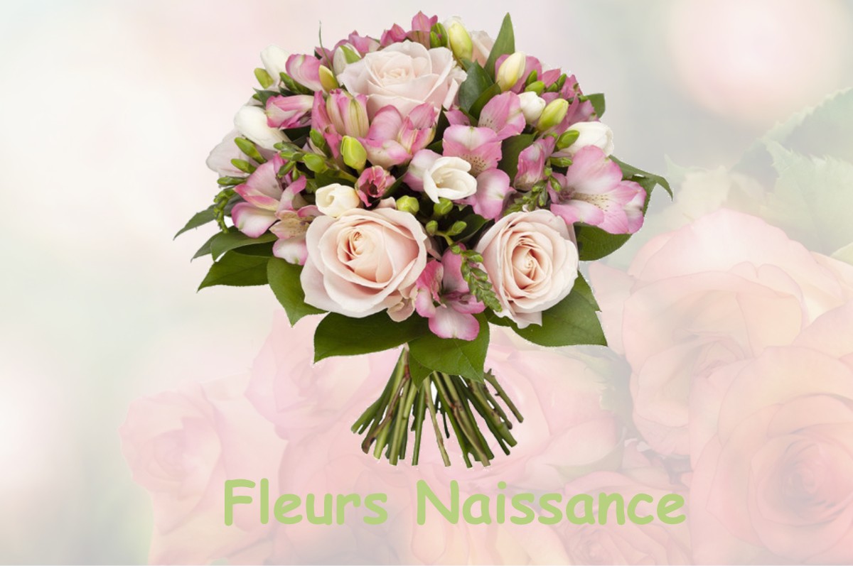 fleurs naissance ASPRES-SUR-BUECH